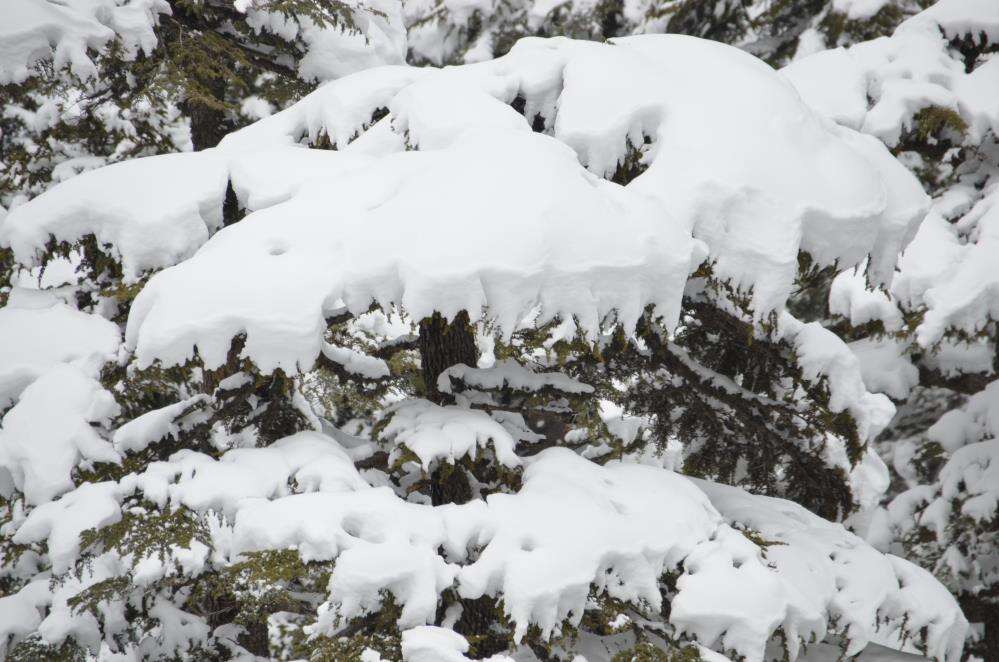 25 santim kar yağdığını duyan Konya yoluna akın etti 12
